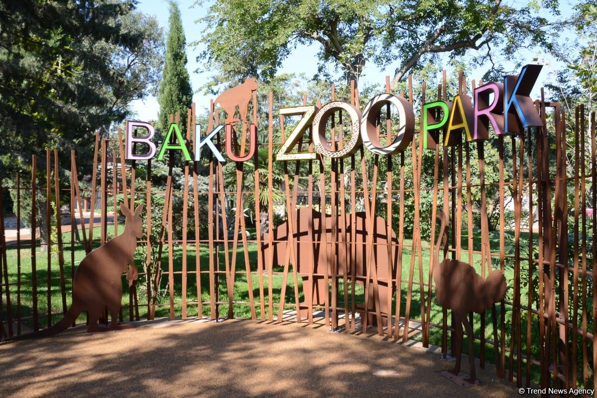 Children of martyrs and from orphanages become first visitors of Baku Zoo (PHOTO)