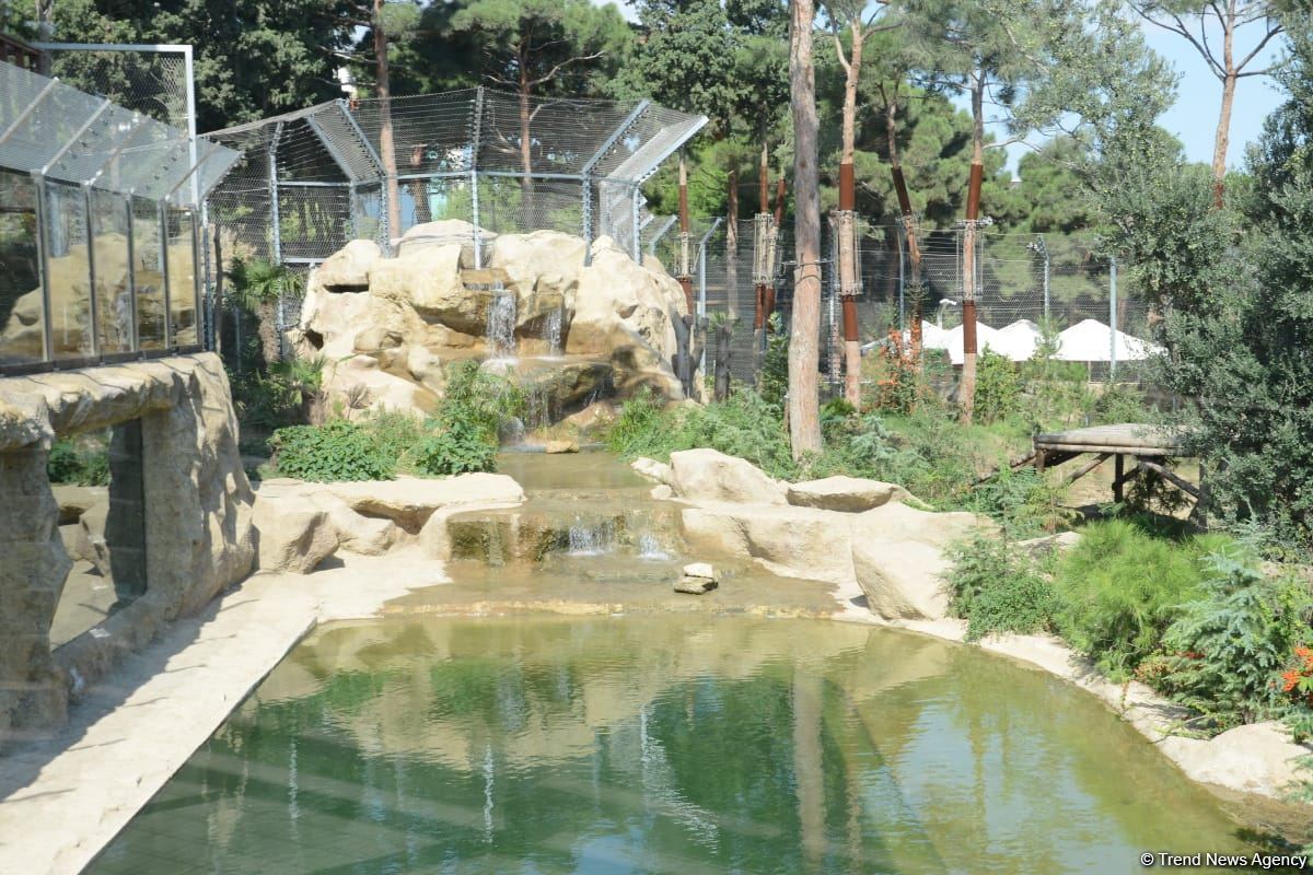 Children of martyrs and from orphanages become first visitors of Baku Zoo (PHOTO)