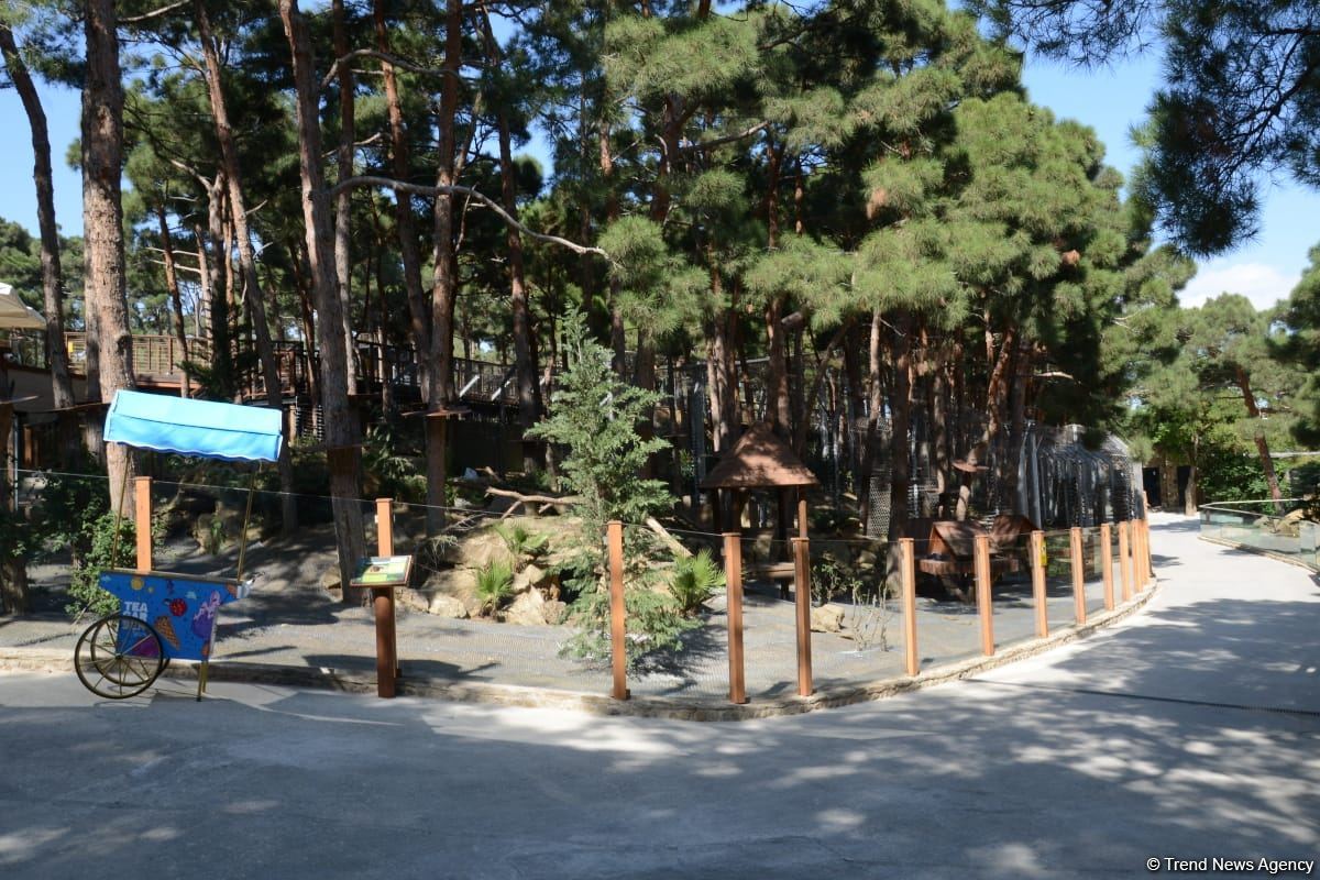 Children of martyrs and from orphanages become first visitors of Baku Zoo (PHOTO)