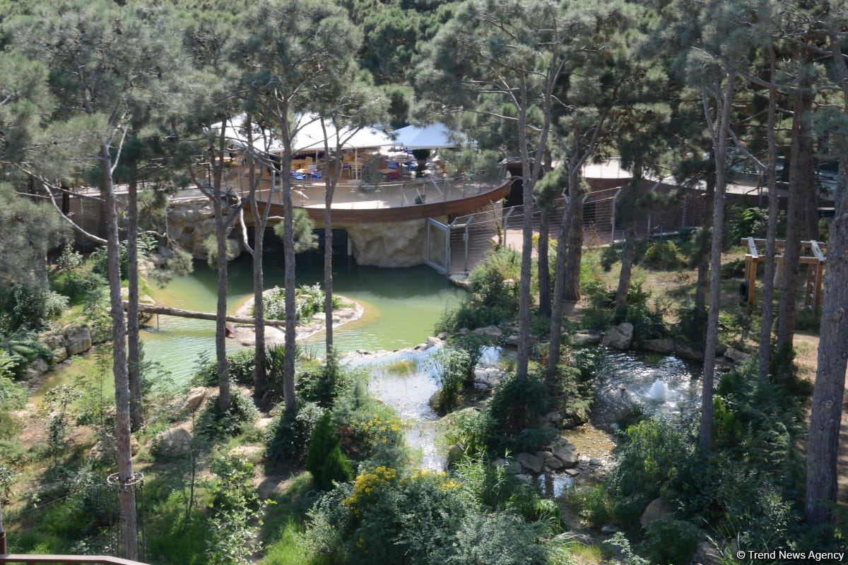 Children of martyrs and from orphanages become first visitors of Baku Zoo (PHOTO)