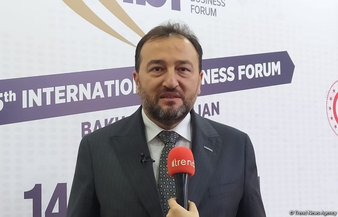 Turkish MUSIAD to make every effort to rebuild earthquake-affected cities – president