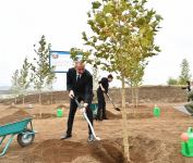 President Ilham Aliyev and First Lady Mehriban Aliyeva plant trees in Central City Park to be built in Fuzuli (PHOTO)