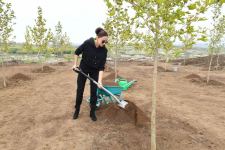 President Ilham Aliyev and First Lady Mehriban Aliyeva plant trees in Central City Park to be built in Fuzuli (PHOTO)