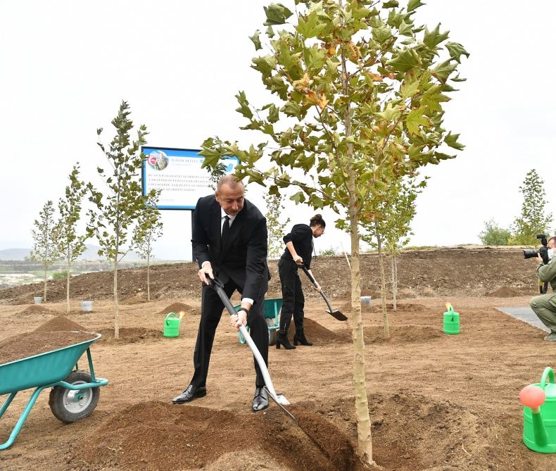 President Ilham Aliyev and First Lady Mehriban Aliyeva plant trees in Central City Park to be built in Fuzuli (PHOTO)