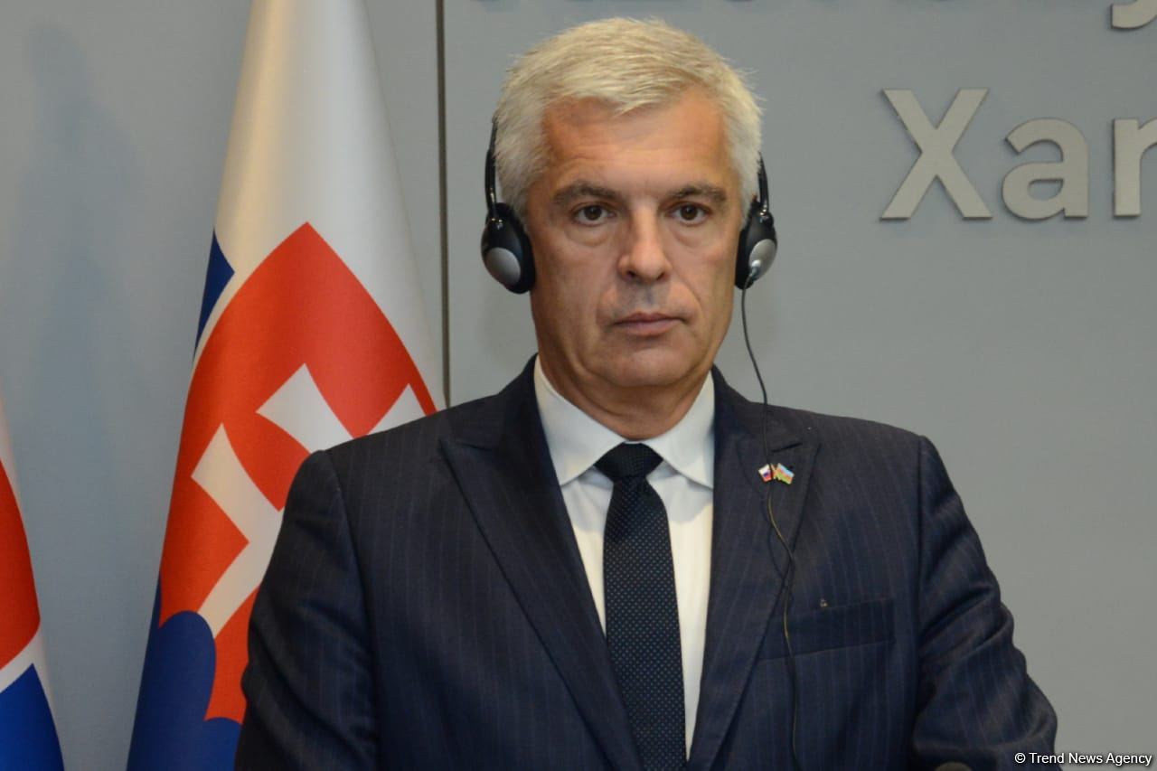 Joint press conference of Azerbaijani and Slovak FMs held in Baku (PHOTO/VIDEO)