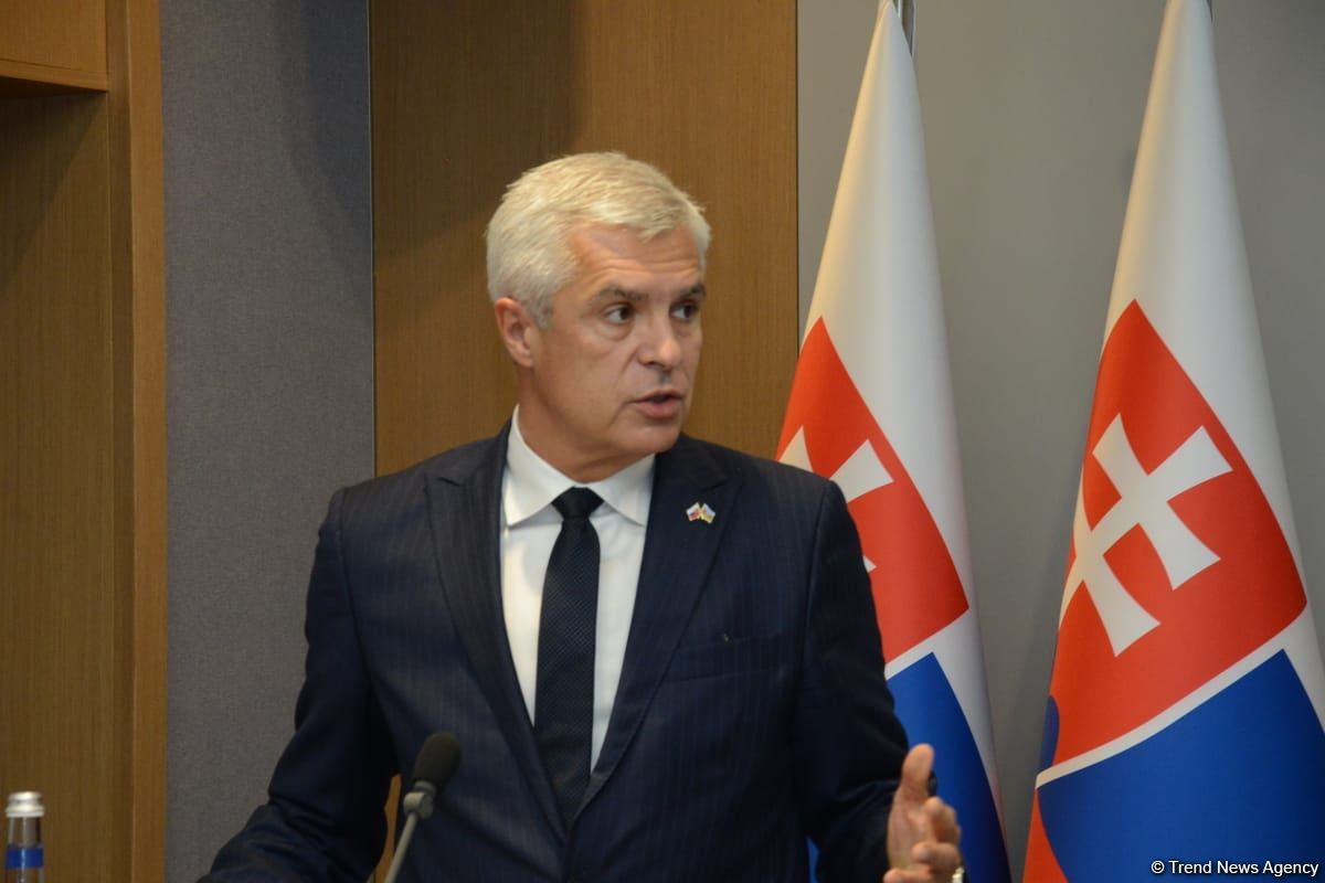 Joint press conference of Azerbaijani and Slovak FMs held in Baku (PHOTO/VIDEO)