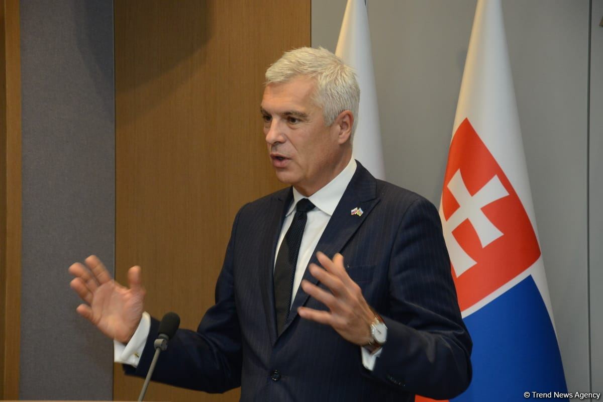 Joint press conference of Azerbaijani and Slovak FMs held in Baku (PHOTO/VIDEO)
