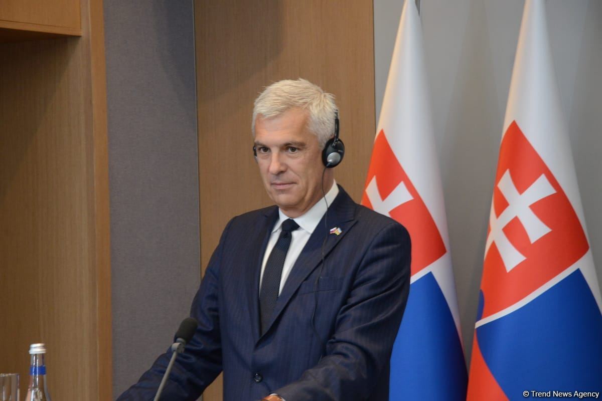 Joint press conference of Azerbaijani and Slovak FMs held in Baku (PHOTO/VIDEO)