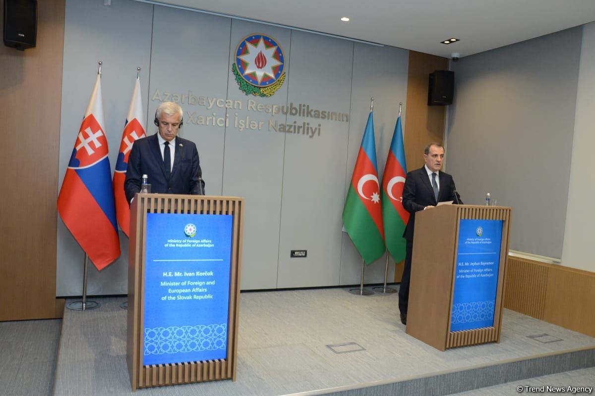 Joint press conference of Azerbaijani and Slovak FMs held in Baku (PHOTO/VIDEO)