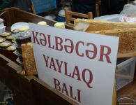 Honey from Azerbaijan's liberated Kalbajar, Lachin delivered to Baku fair (PHOTO)