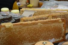 Honey from Azerbaijan's liberated Kalbajar, Lachin delivered to Baku fair (PHOTO)