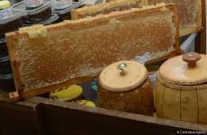 Honey from Azerbaijan's liberated Kalbajar, Lachin delivered to Baku fair (PHOTO)