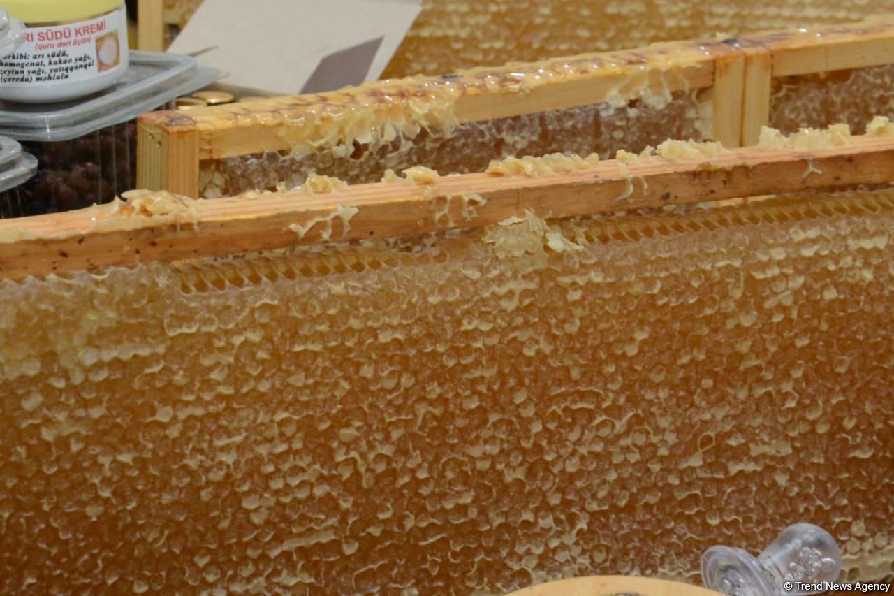 Honey from Azerbaijan's liberated Kalbajar, Lachin delivered to Baku fair (PHOTO)
