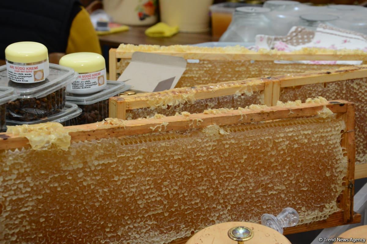 Honey from Azerbaijan's liberated Kalbajar, Lachin delivered to Baku fair (PHOTO)