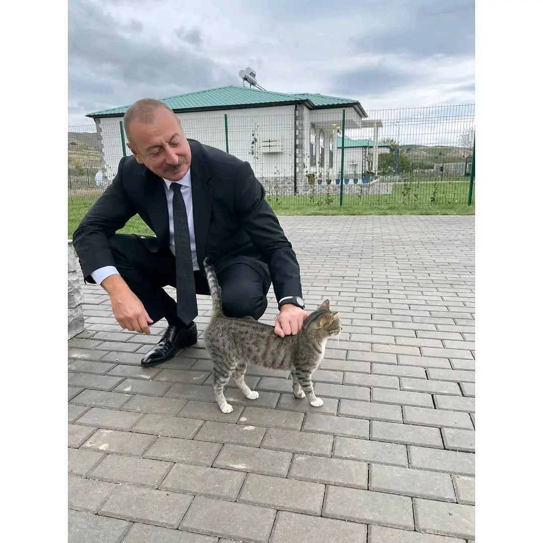 First Vice-President Mehriban Aliyeva shared photos from Aghali village of Zangilan district on her official Instagram page (PHOTO)