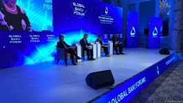 Fourth panel within VIII Global Baku Forum under motto "The world after COVID-19” starts (PHOTO)