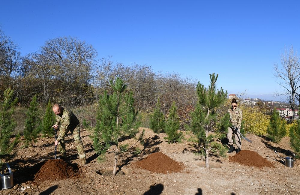 President Ilham Aliyev, First Lady Mehriban Aliyeva plant trees on Jidir Duzu, restoration of Topkhana forest in Shusha launched (PHOTO/VIDEO)