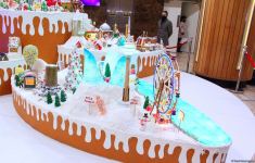 “Karabakh – Winter Wonderland”: NARGIS Publishing House Opens a New Exhibition (PHOTO)