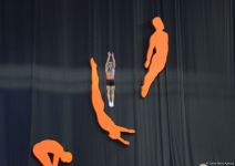 Best moments of first day of 35th FIG Trampoline Gymnastics World Championships in Baku (PHOTO)