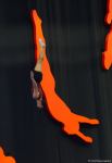 Best moments of first day of 35th FIG Trampoline Gymnastics World Championships in Baku (PHOTO)