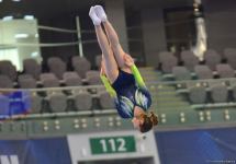 First day of 35th World Trampoline Championships kicks off in Baku (PHOTOS)
