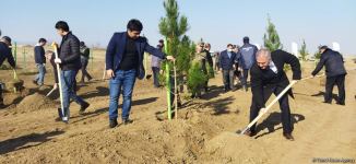 Tree planting held in Azerbaijan’s liberated Aghdam (PHOTO)