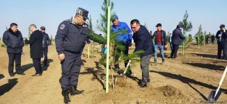 Tree planting held in Azerbaijan’s liberated Aghdam (PHOTO)