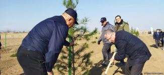 Tree planting held in Azerbaijan’s liberated Aghdam (PHOTO)