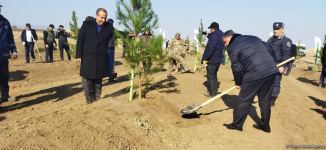 Tree planting held in Azerbaijan’s liberated Aghdam (PHOTO)