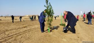 Tree planting held in Azerbaijan’s liberated Aghdam (PHOTO)