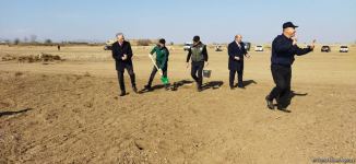 Tree planting held in Azerbaijan’s liberated Aghdam (PHOTO)