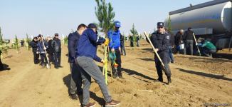 Tree planting held in Azerbaijan’s liberated Aghdam (PHOTO)