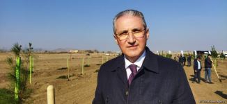 Tree planting held in Azerbaijan’s liberated Aghdam (PHOTO)
