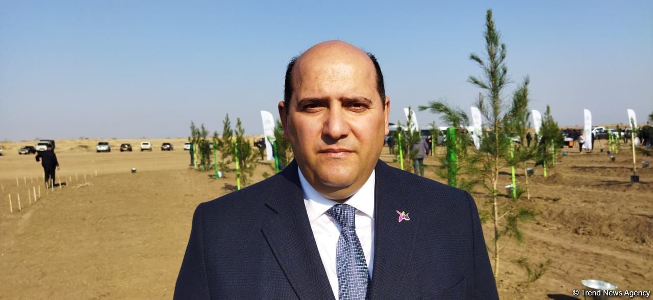 Tree planting held in Azerbaijan’s liberated Aghdam (PHOTO)