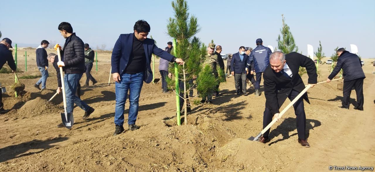 Tree planting held in Azerbaijan’s liberated Aghdam (PHOTO)