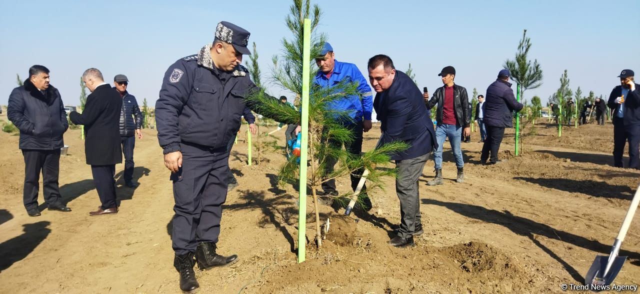 Tree planting held in Azerbaijan’s liberated Aghdam (PHOTO)