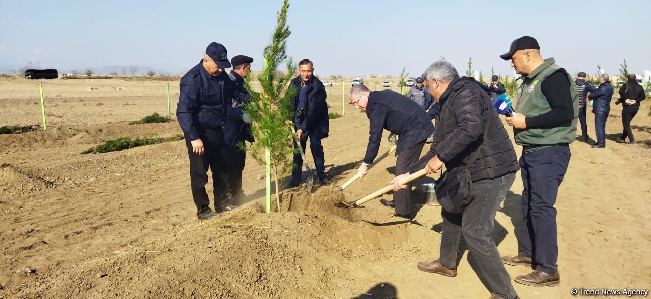 Tree planting held in Azerbaijan’s liberated Aghdam (PHOTO)