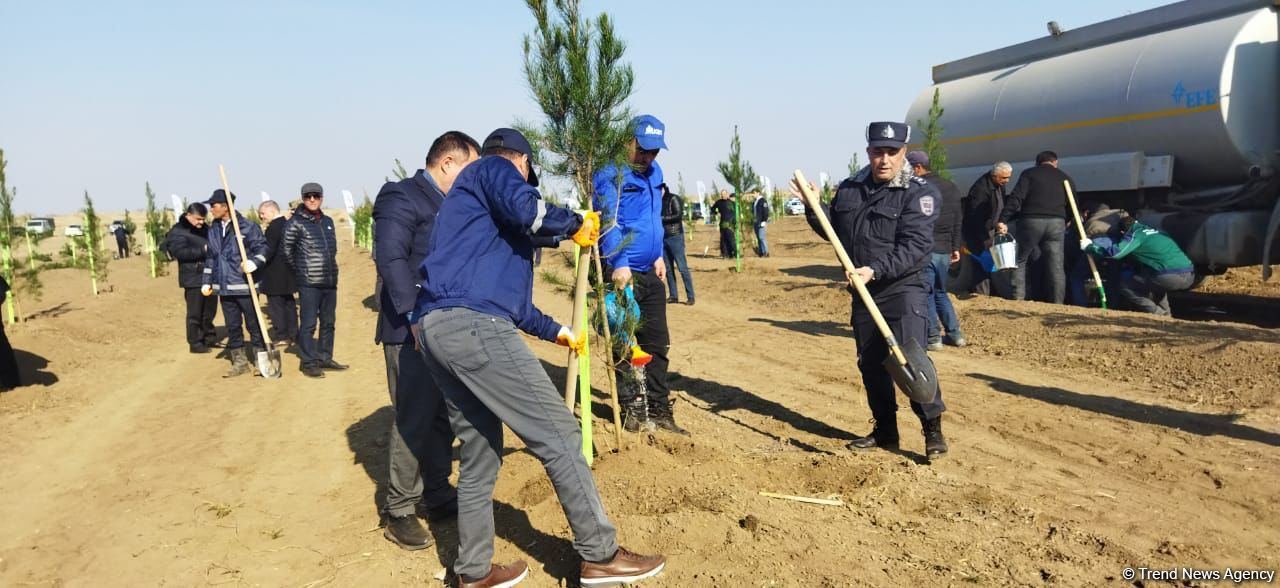 Tree planting held in Azerbaijan’s liberated Aghdam (PHOTO)