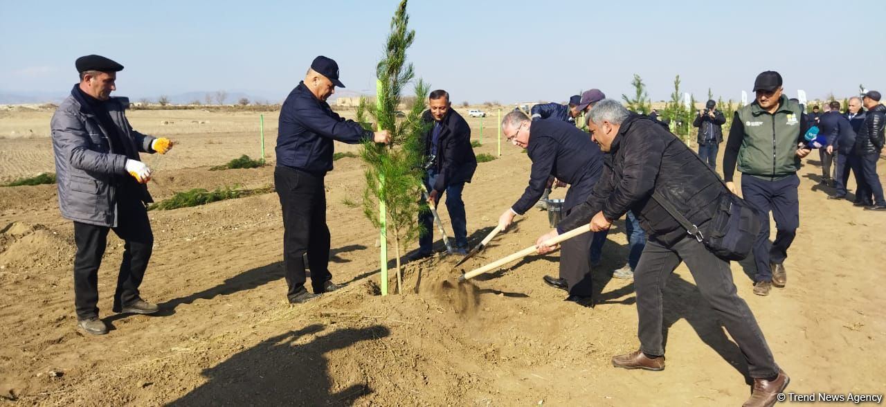 Tree planting held in Azerbaijan’s liberated Aghdam (PHOTO)