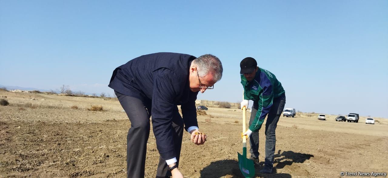 Tree planting held in Azerbaijan’s liberated Aghdam (PHOTO)