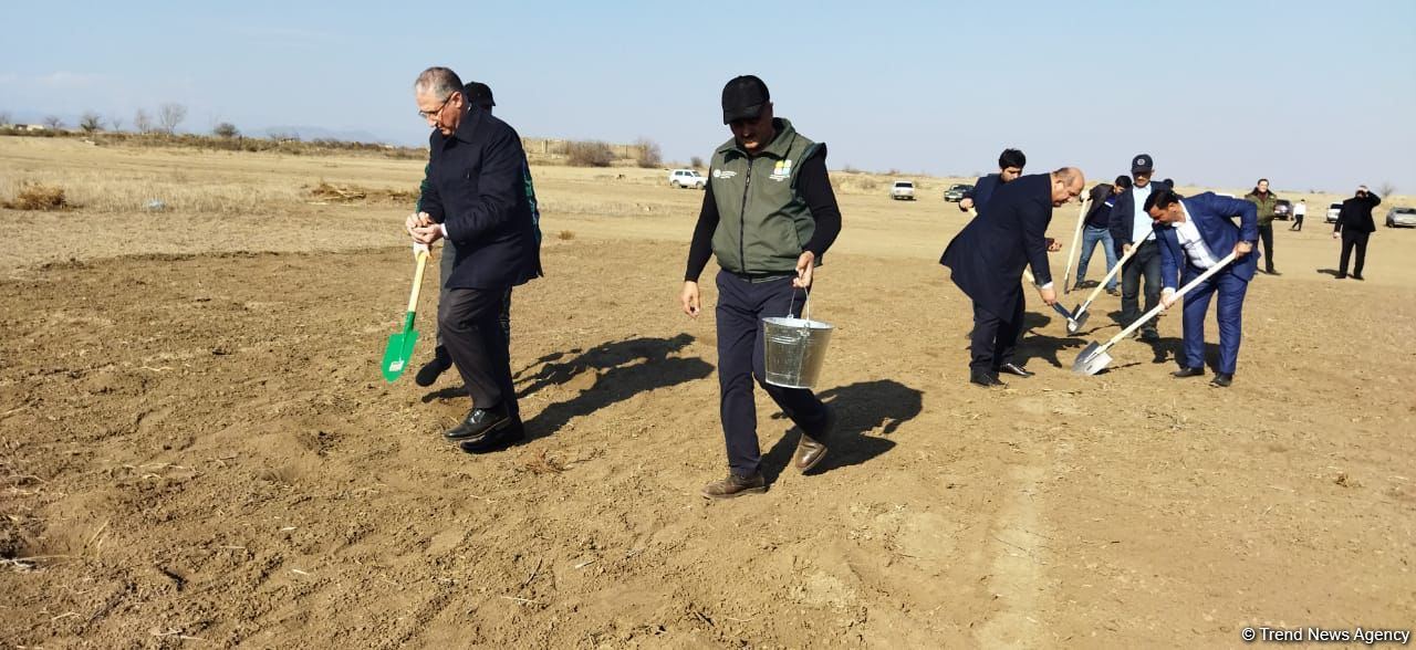 Tree planting held in Azerbaijan’s liberated Aghdam (PHOTO)