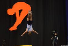 Azerbaijani gymnast performs in final at 35th FIG World Championships in Baku (PHOTO)
