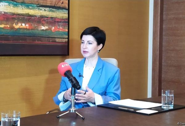 Visa open to cooperation with Azerbaijan in field of digital banks - regional manager (Interview) (VIDEO)