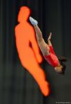 28th FIG Trampoline Gymnastics World Age Group Competitions continue in Baku (PHOTO)