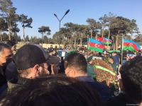 Burial ceremony of Azerbaijani helicopter crash victims held in second Alley of Martyrs (PHOTO/VIDEO)