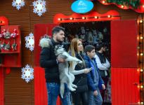 Azerbaijan organizes "Cold hands, warm heart" charity fair (PHOTO)
