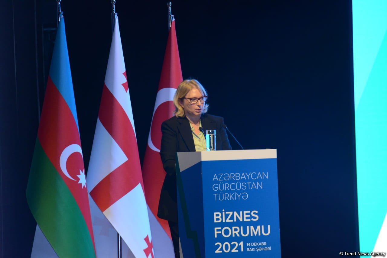 Azerbaijan-Turkey-Georgian business forum kicks off in Baku (PHOTO)