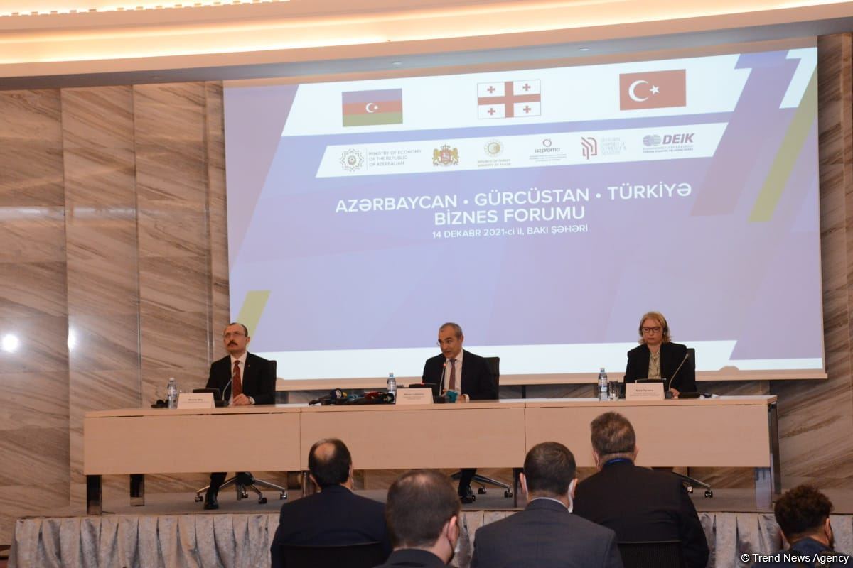 Minister discloses Turkey's trade turnover with Azerbaijan and Georgia (PHOTO)