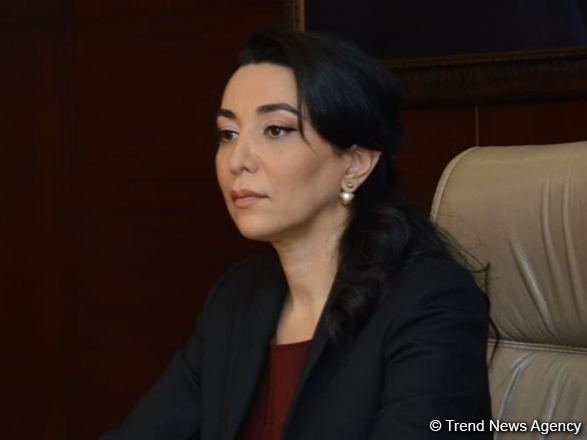 Azerbaijani ombudsman talks recent Armenian aggression in Paris