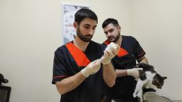 First largest and most modern veterinary clinic in S.Caucasus in Baku already receiving applications - Trend TV (PHOTO/VIDEO)